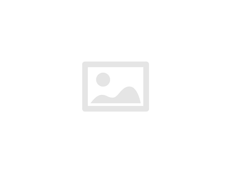 Medalhão de Carne Moída Ao Molho (Normal)